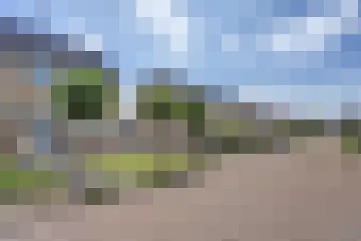 Camstrastrjitte 18 Damwâld thumbnail 7