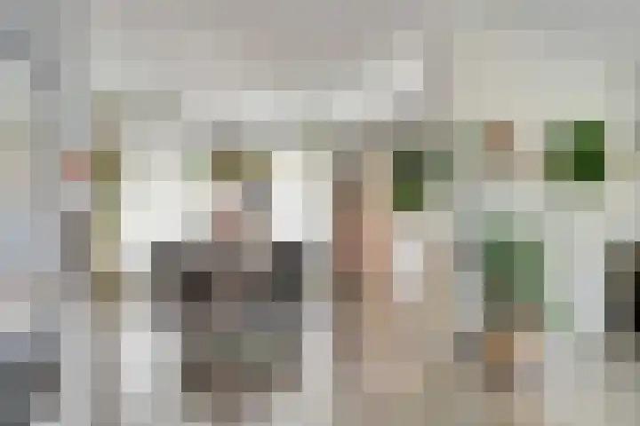 Camstrastrjitte 18 Damwâld thumbnail 9