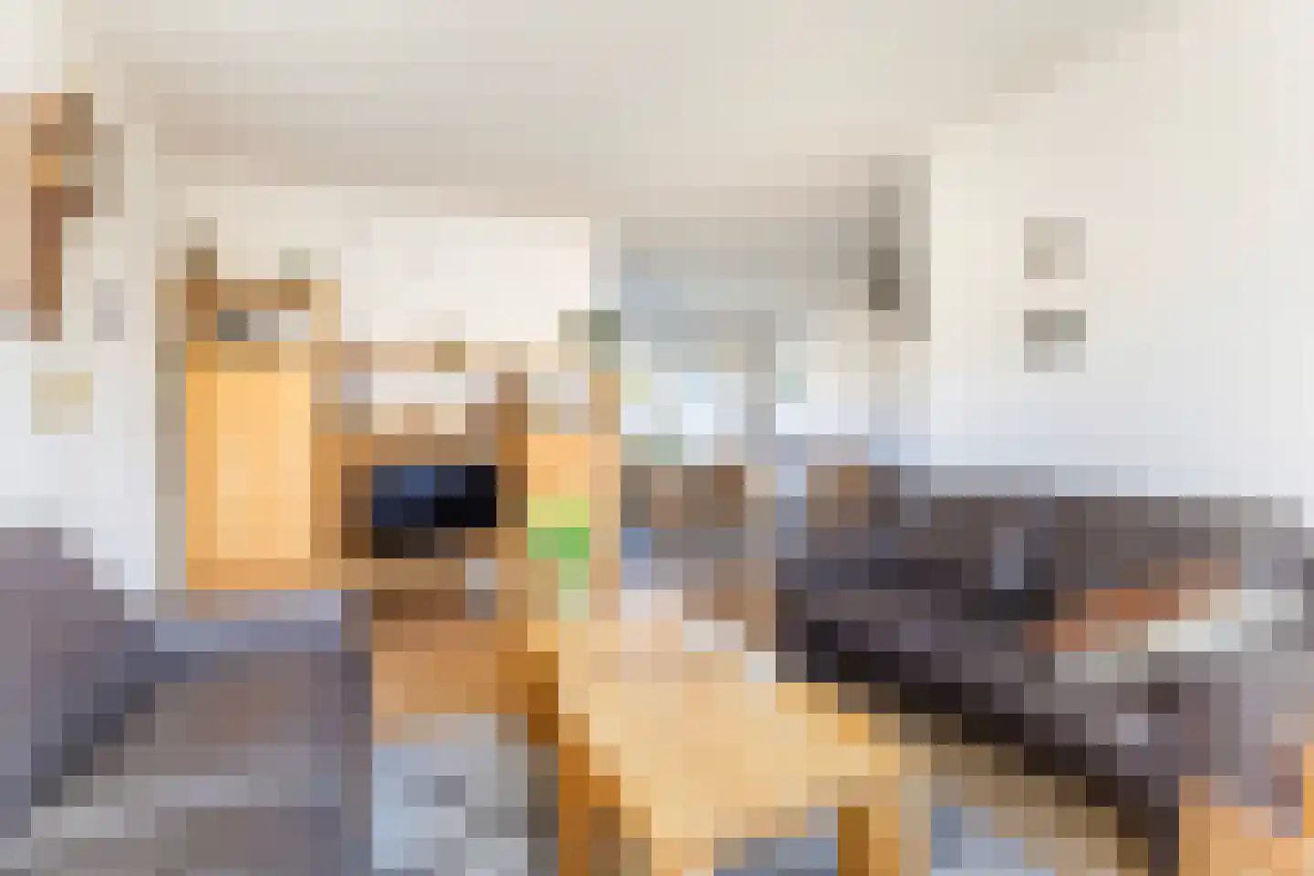 Camstrastrjitte 7 Damwâld thumbnail 15