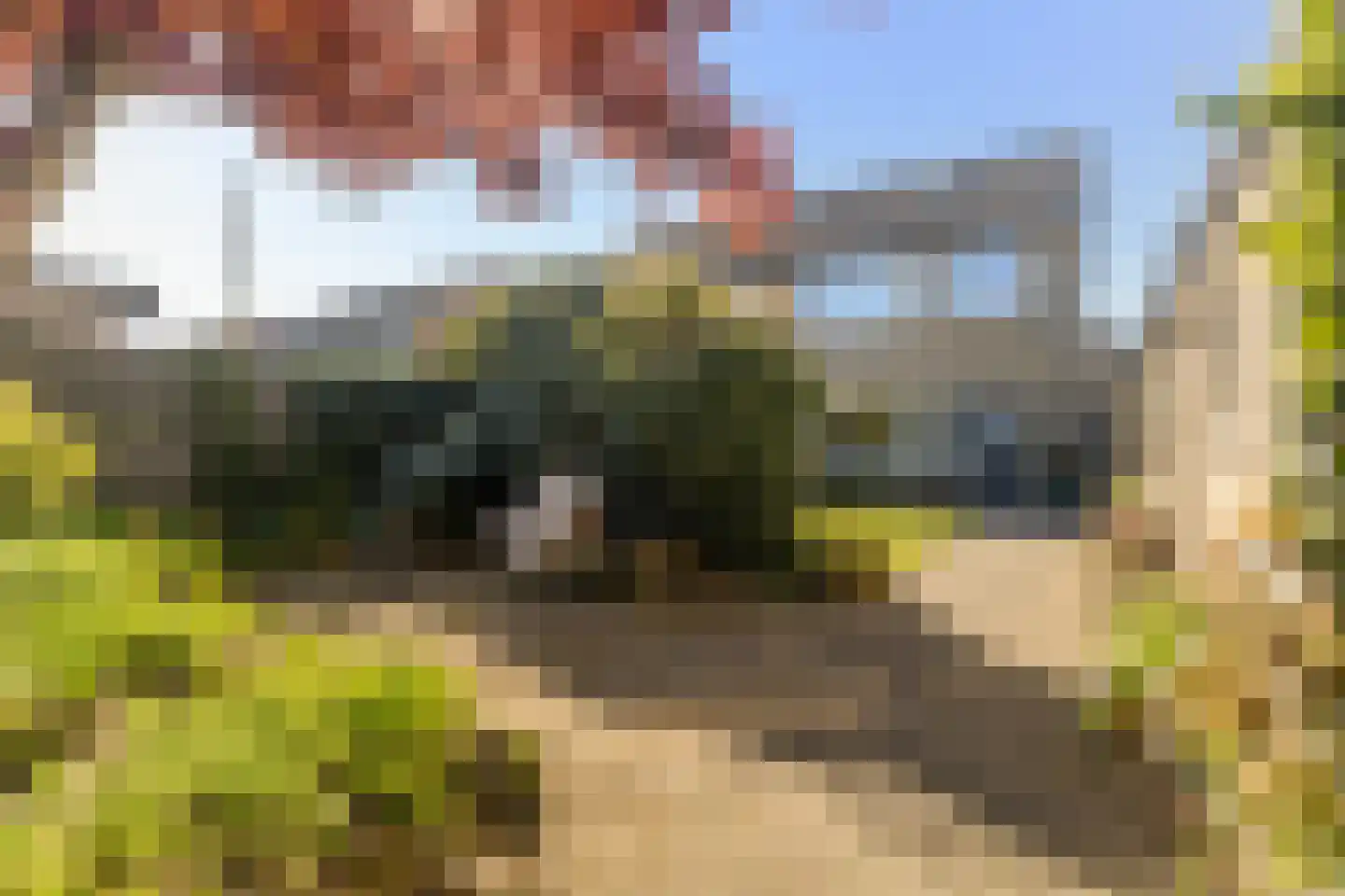 Camstrastrjitte 7 Damwâld thumbnail 22