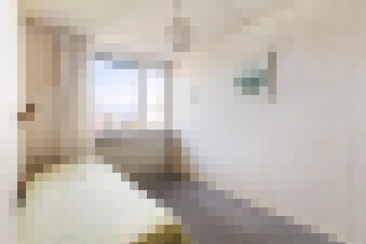 Camstrastrjitte 7 Damwâld thumbnail 27