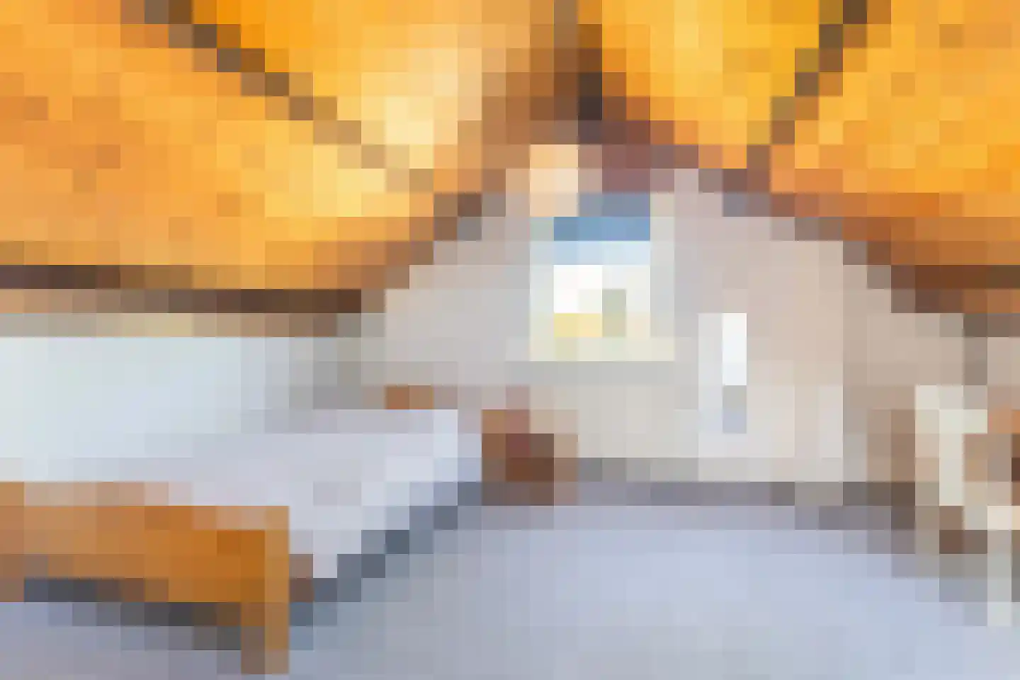 Camstrastrjitte 7 Damwâld thumbnail 34