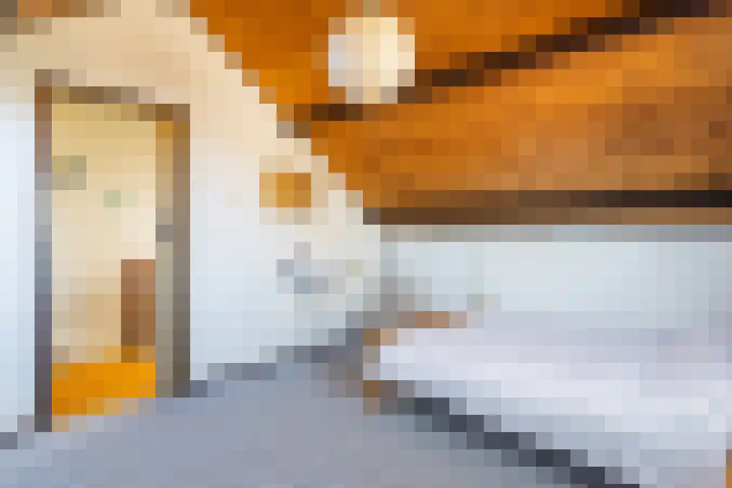 Camstrastrjitte 7 Damwâld thumbnail 36