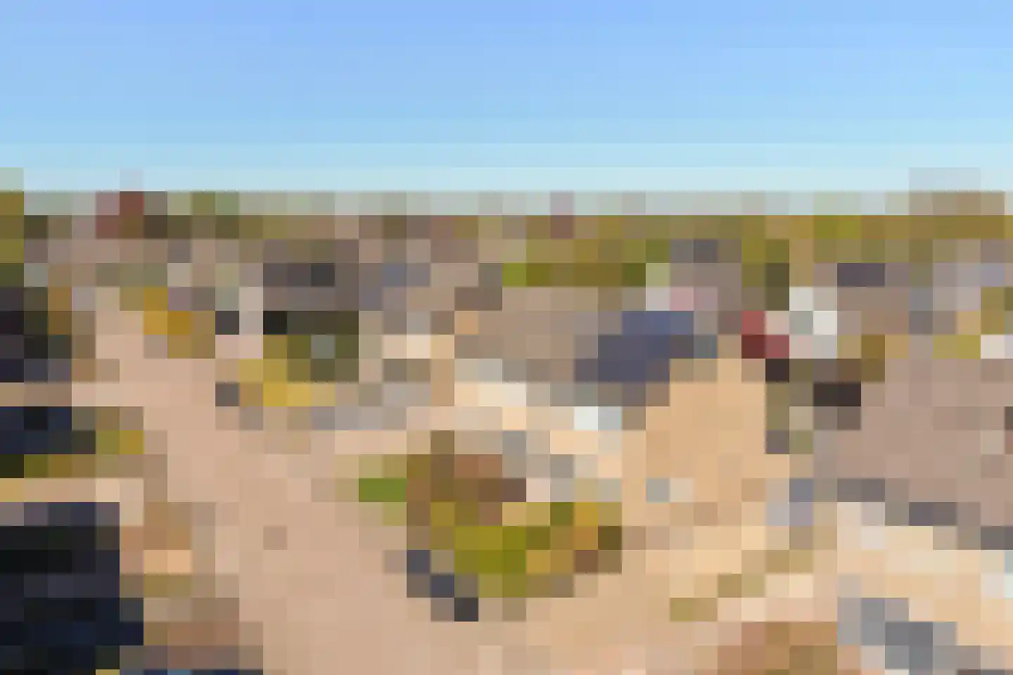 Camstrastrjitte 7 Damwâld thumbnail 5