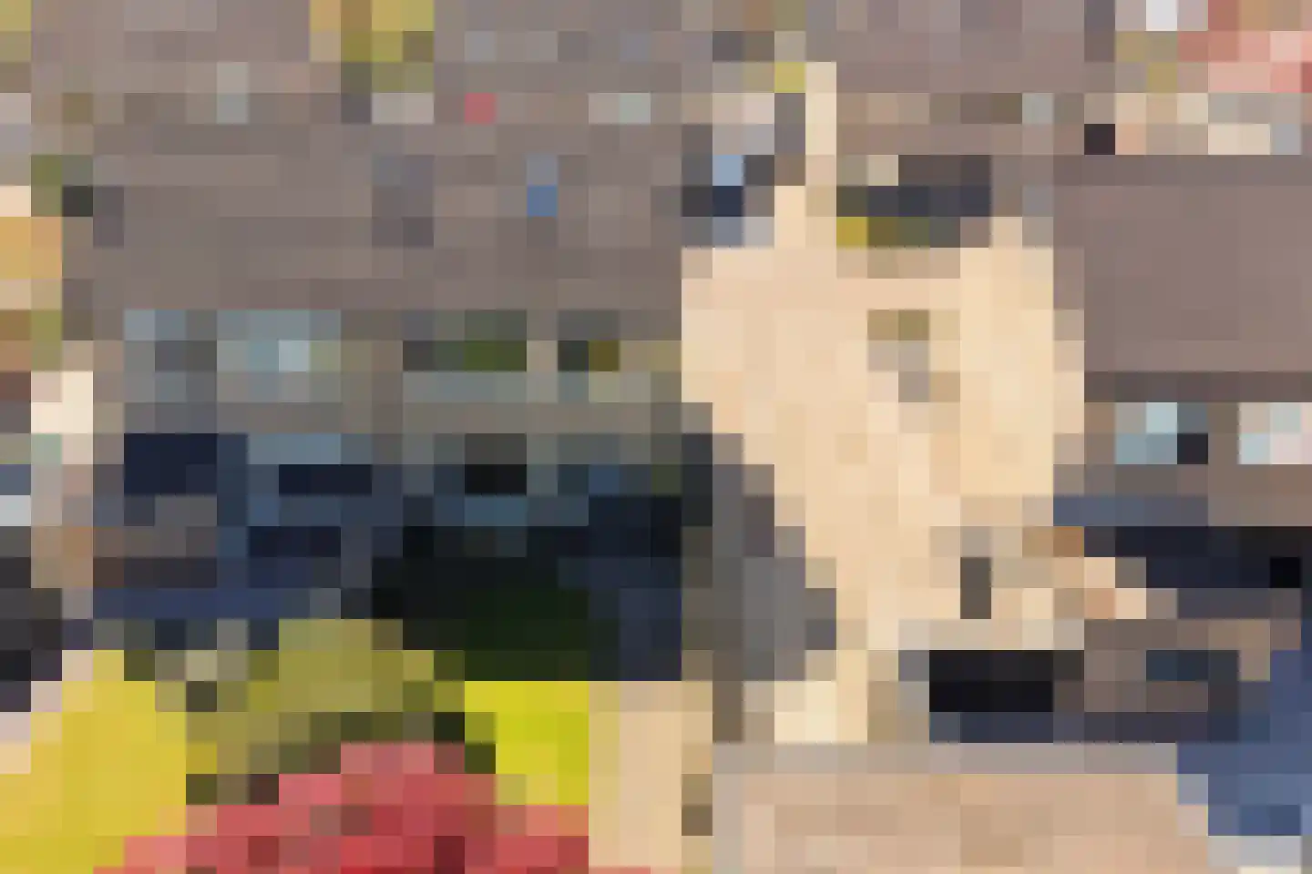 Camstrastrjitte 7 Damwâld thumbnail 8