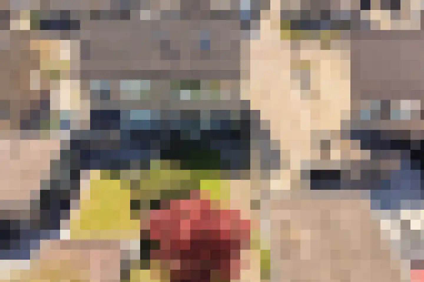 Camstrastrjitte 7 Damwâld thumbnail 9