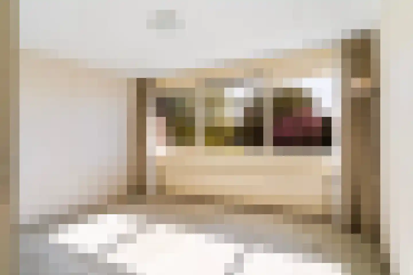Camstrastrjitte 7 Menaam thumbnail 24