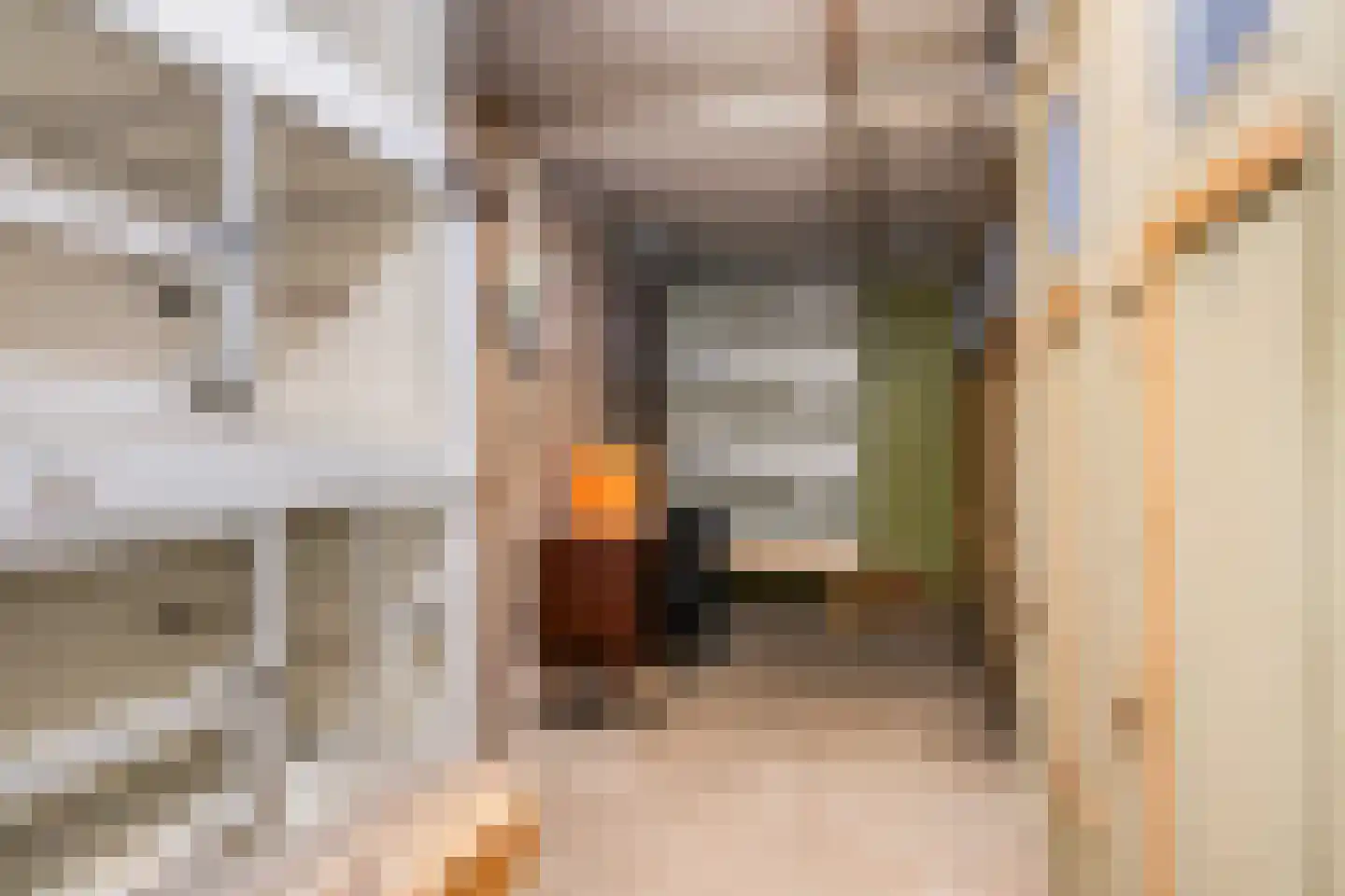 Camstrastrjitte 7 Menaam thumbnail 40