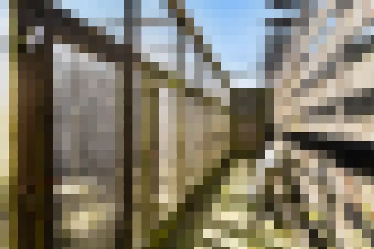 Camstrastrjitte 7 Menaam thumbnail 47