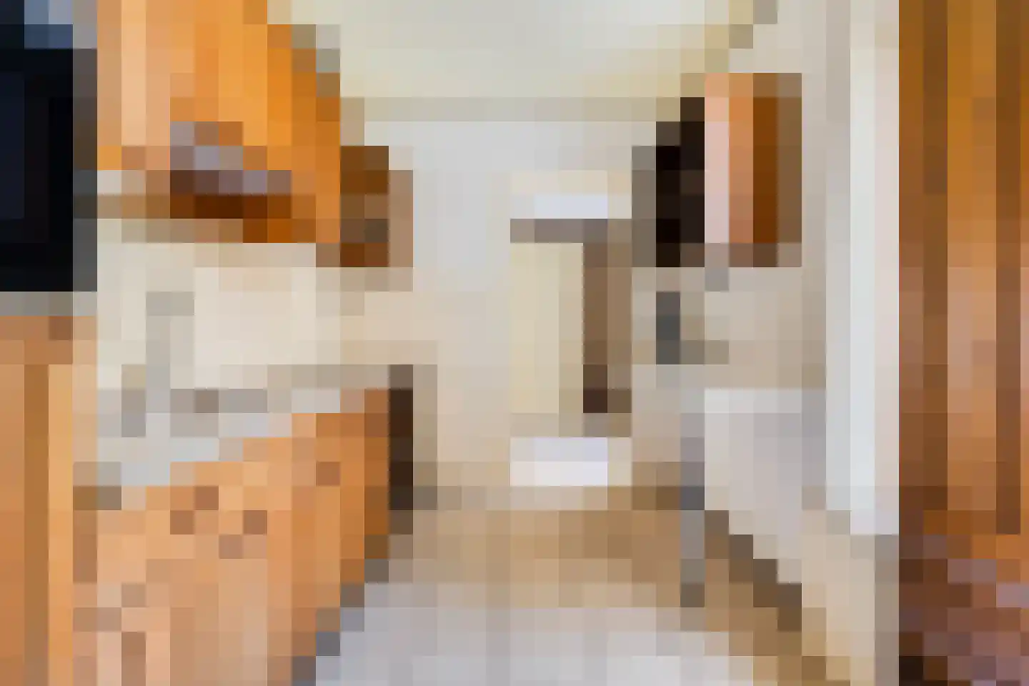 Camstrastrjitte 7 Menaam thumbnail 6