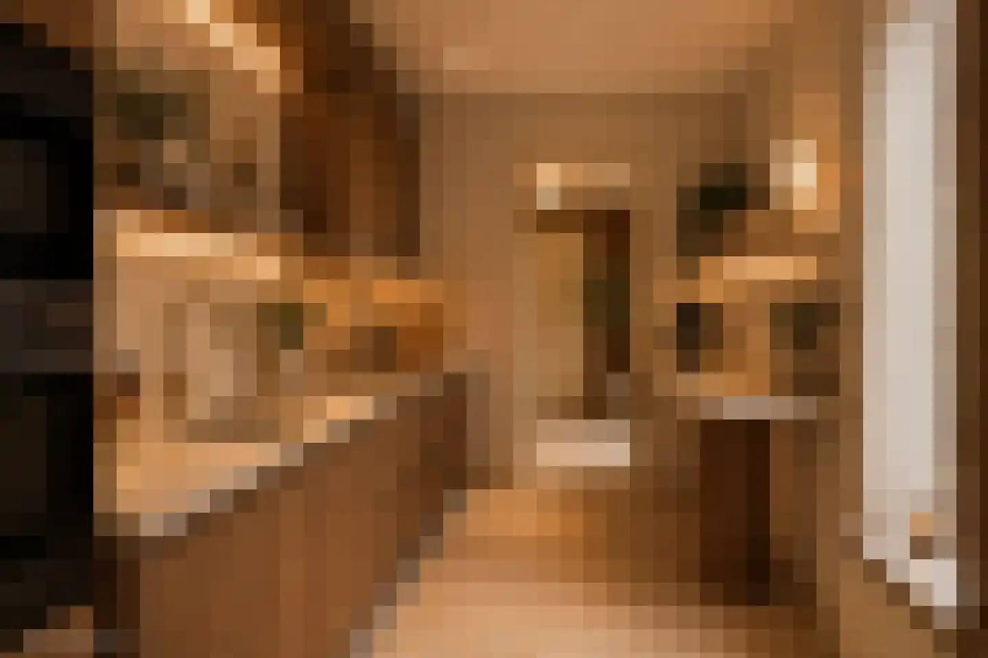 Camstrastrjitte 7 Menaam thumbnail 7