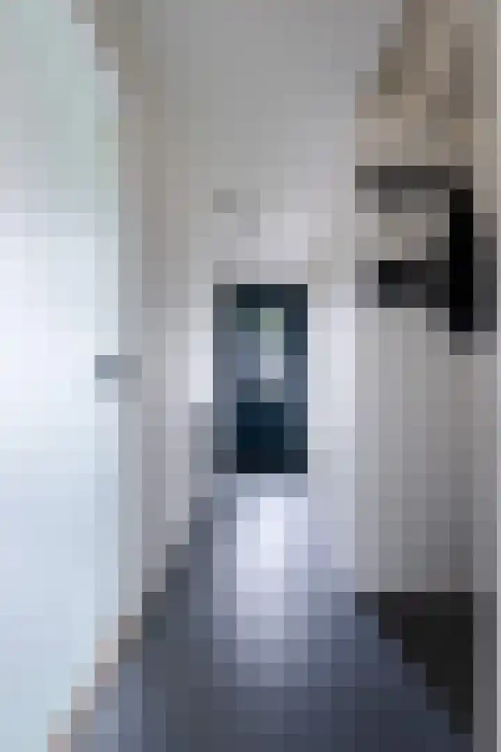 Camstrawei 21 Firdgum thumbnail 11
