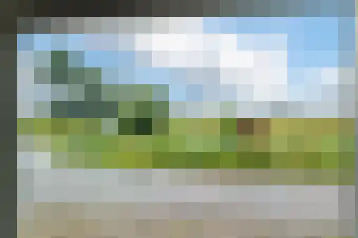 Camstrawei 21 Firdgum thumbnail 15