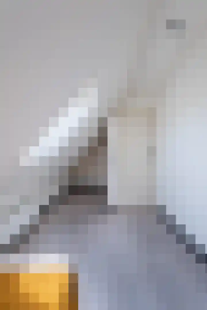 Camstrawei 21 Firdgum thumbnail 31
