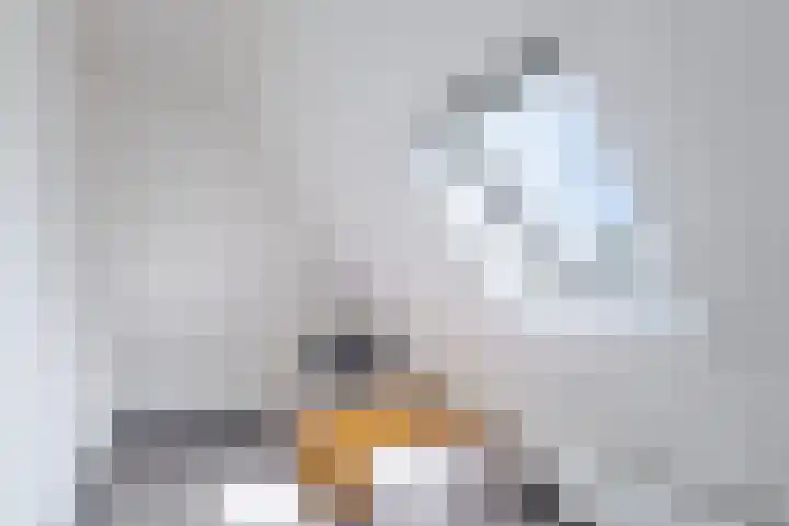 Camstrawei 21 Firdgum thumbnail 32