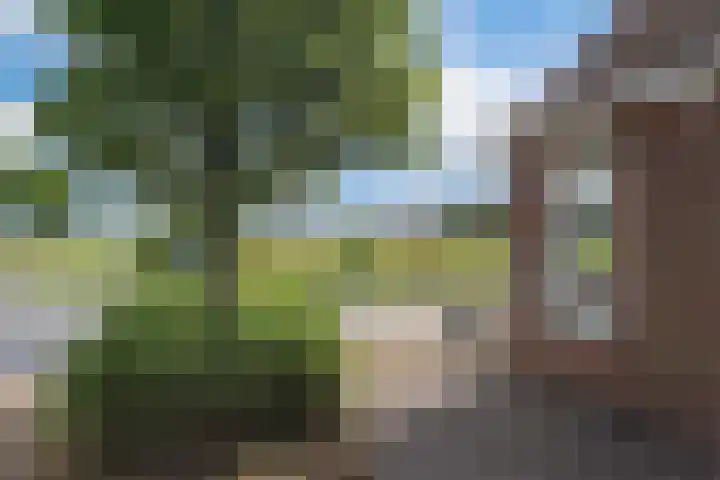 Camstrawei 21 Firdgum thumbnail 39