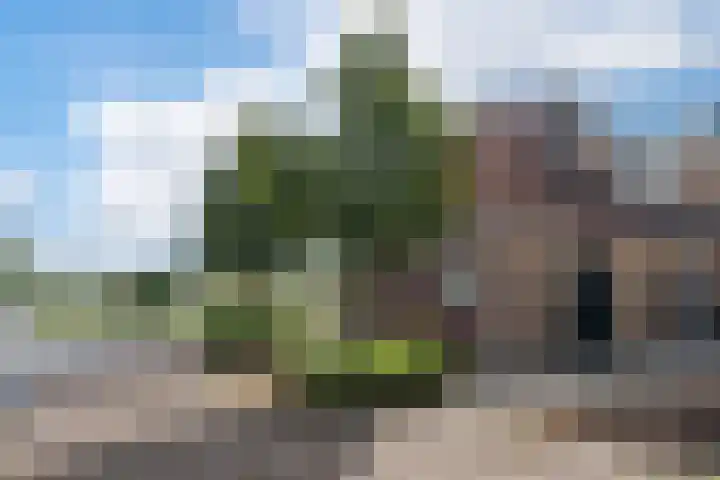 Camstrawei 21 Firdgum thumbnail 40