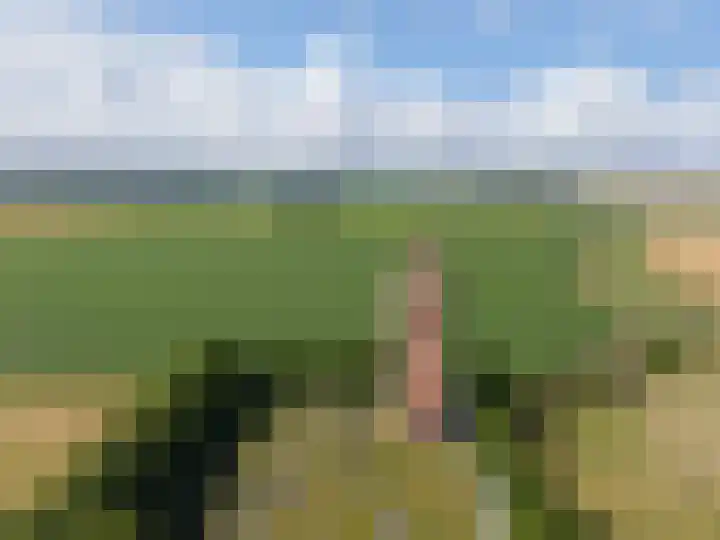 Camstrawei 21 Firdgum thumbnail 43