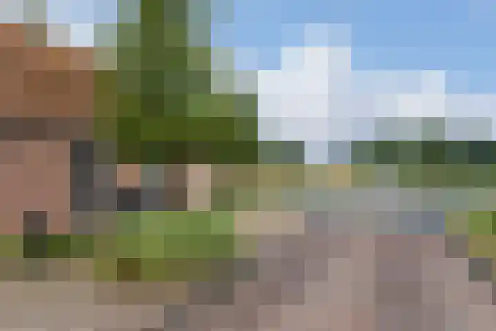Camstrawei 21 Firdgum thumbnail 45
