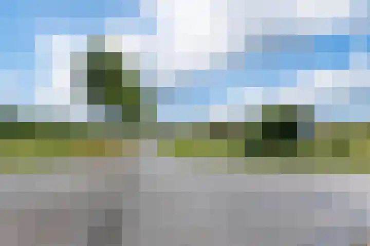 Camstrawei 21 Firdgum thumbnail 47