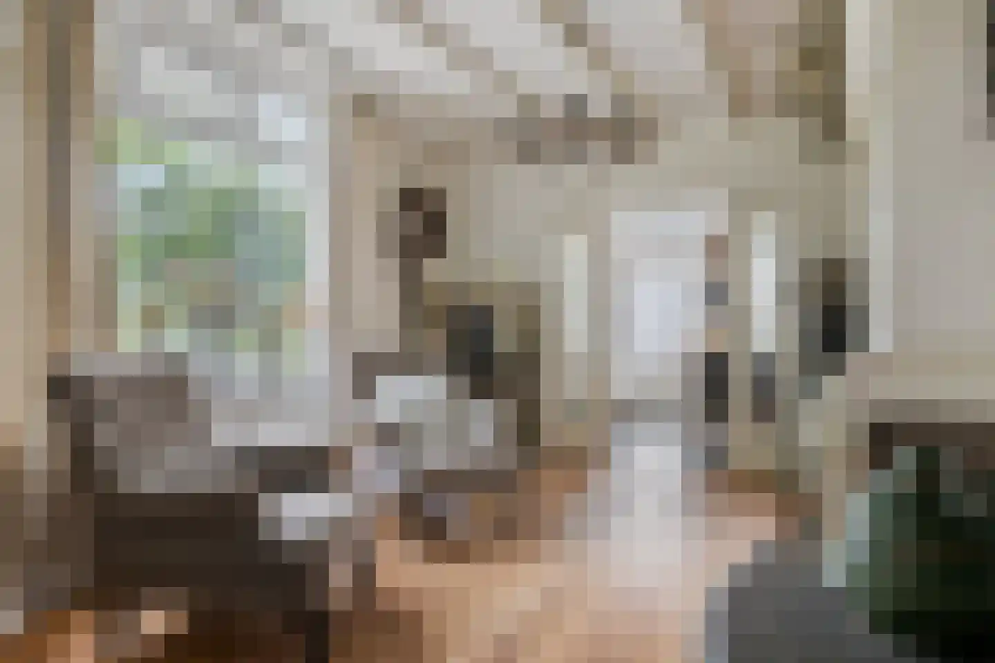 Canadalaan 1 Bergen op Zoom thumbnail 12