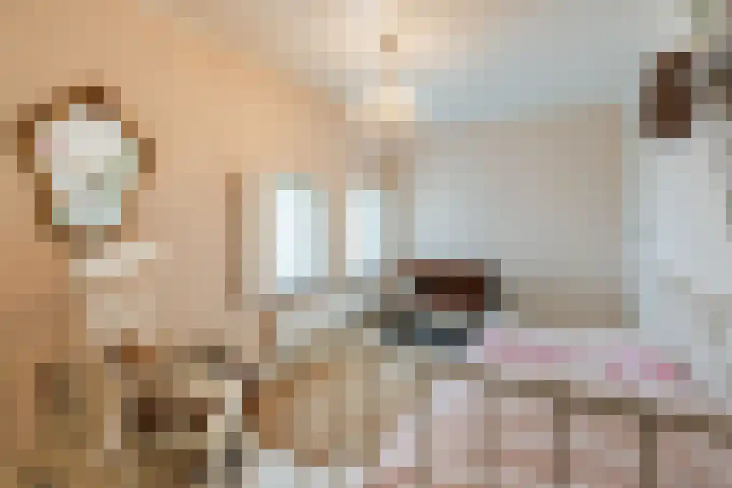 Canadalaan 1 Bergen op Zoom thumbnail 24
