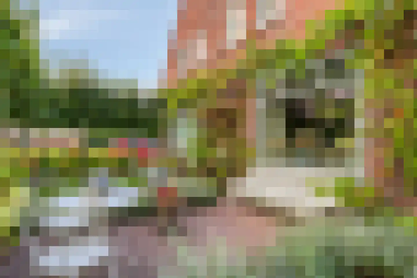 Canadalaan 1 Bergen op Zoom thumbnail 36