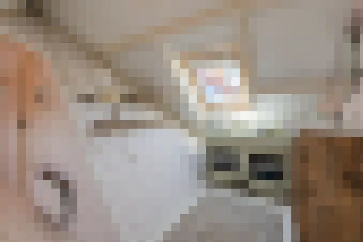 Canadalaan 1 Bergen op Zoom thumbnail 36