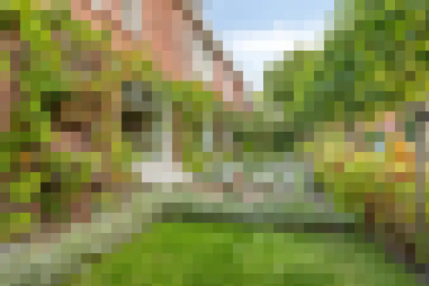 Canadalaan 1 Bergen op Zoom thumbnail 38