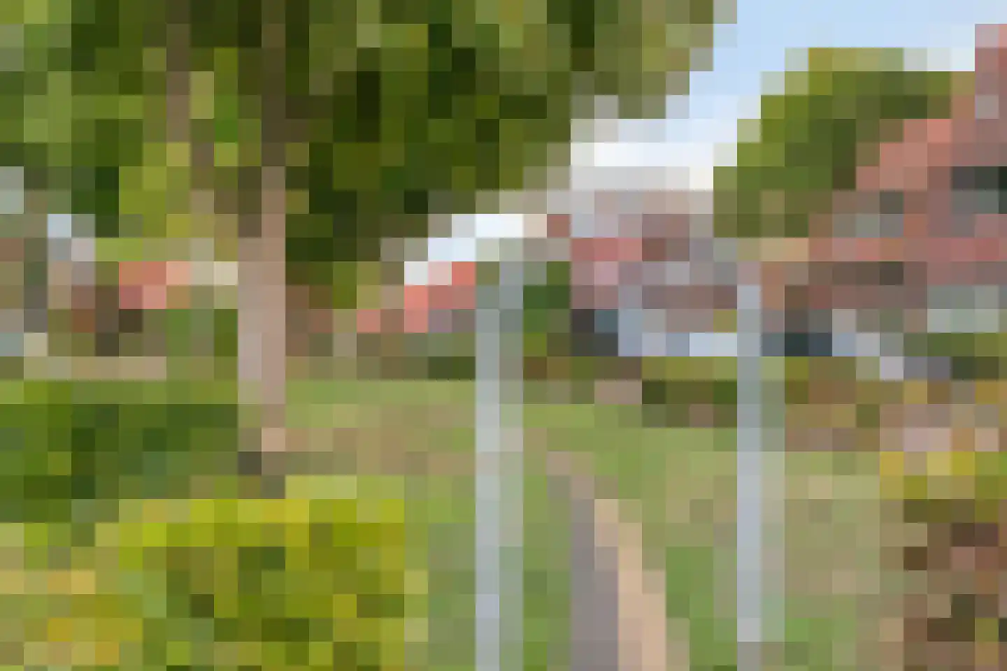 Canadalaan 1 Bergen op Zoom thumbnail 39