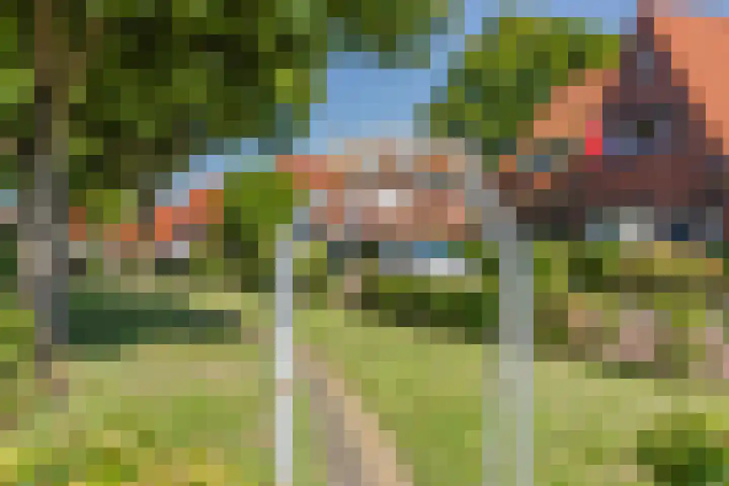 Canadalaan 1 Bergen op Zoom thumbnail 44