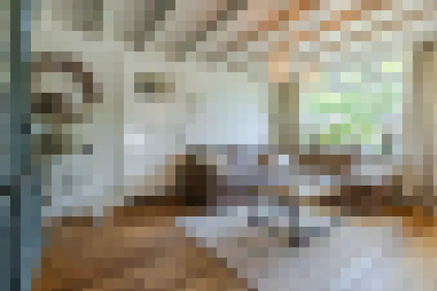 Canadalaan 1 Bergen op Zoom thumbnail 8