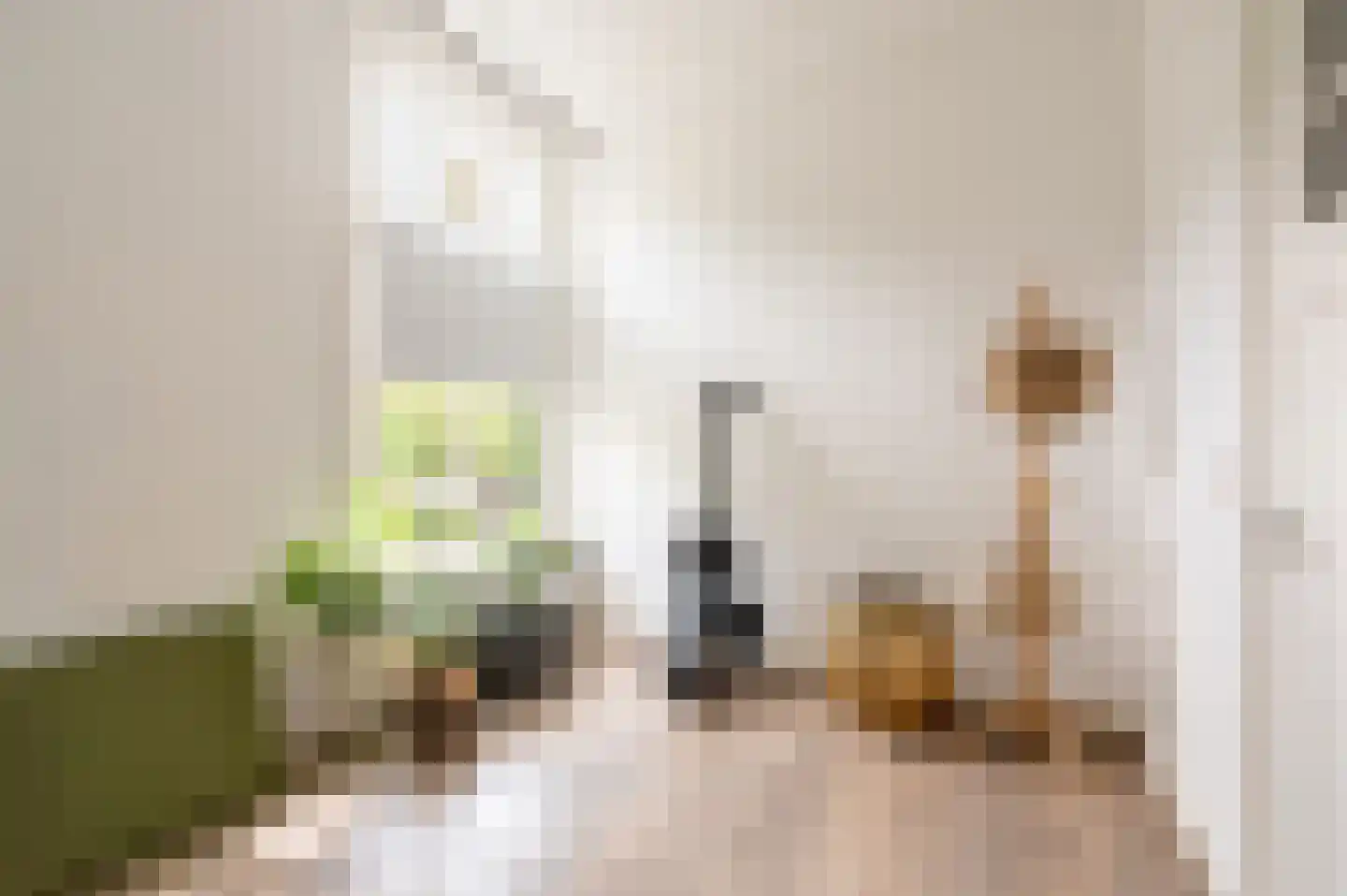 Canadalaan 22 A Apeldoorn thumbnail 36