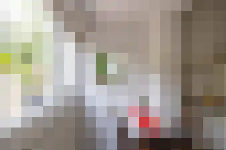 Canadalaan 25 Groningen thumbnail 11