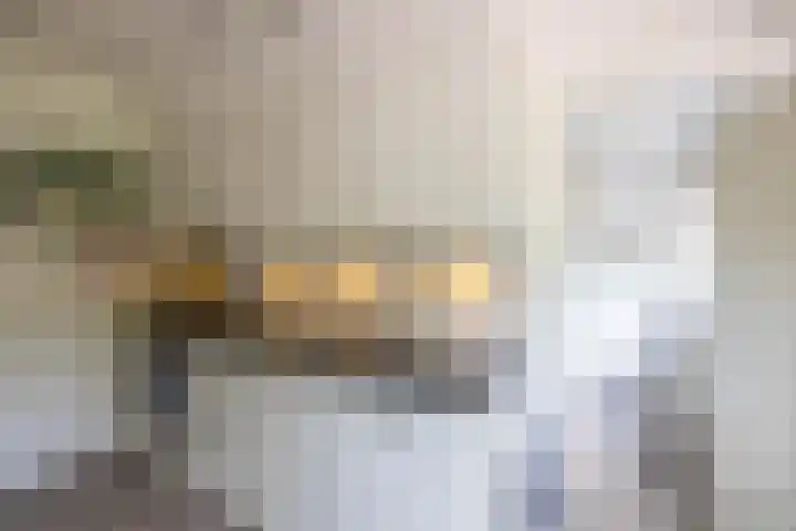 Canadalaan 25 Groningen thumbnail 13