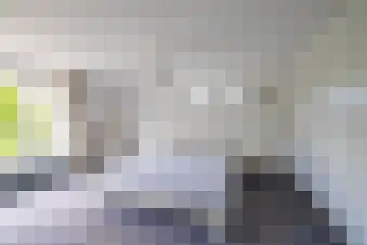 Canadalaan 25 Groningen thumbnail 15