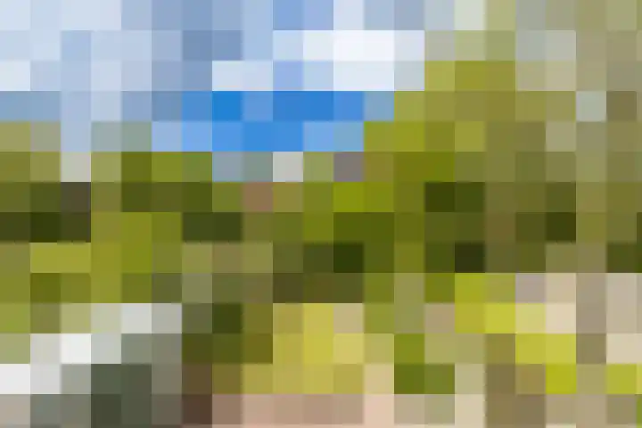 Canadalaan 25 Groningen thumbnail 17