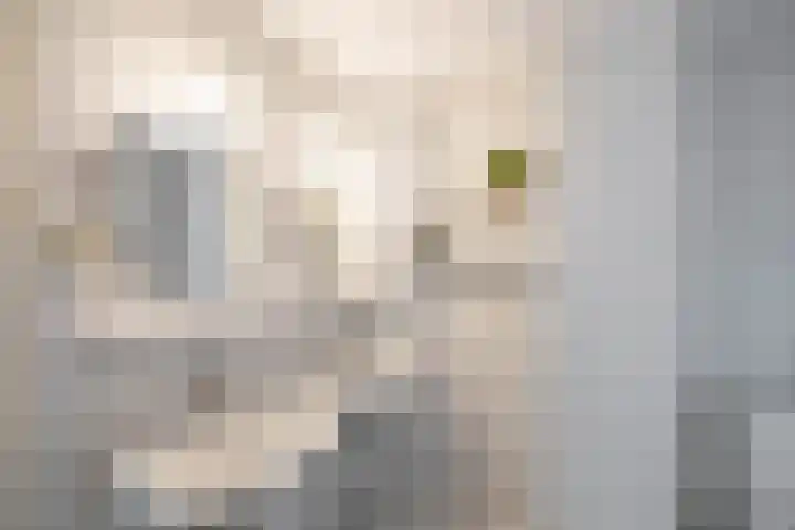 Canadalaan 25 Groningen thumbnail 20