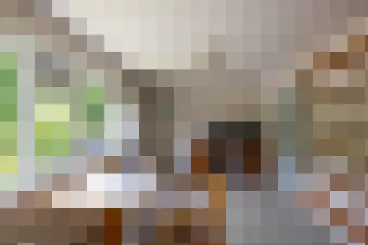 Canadalaan 25 Groningen thumbnail 23