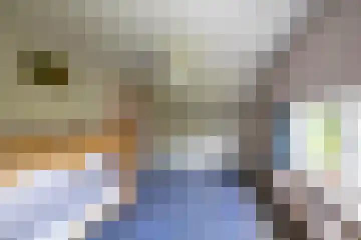 Canadalaan 25 Groningen thumbnail 30