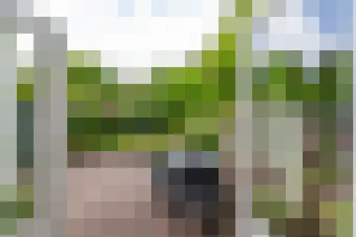 Canadalaan 25 Groningen thumbnail 31