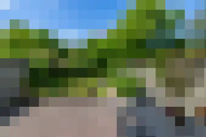 Canadalaan 25 Groningen thumbnail 33