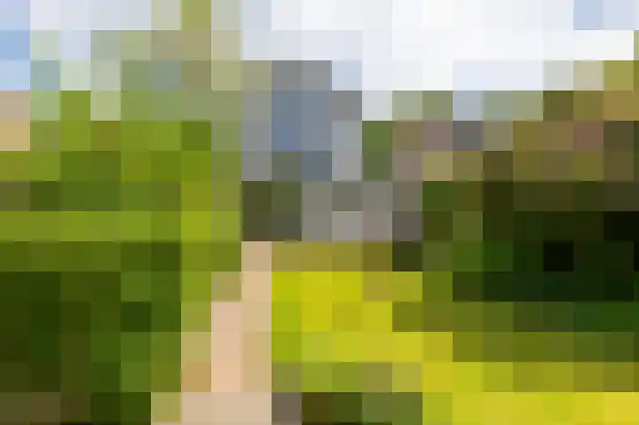 Canadalaan 25 Groningen thumbnail 34