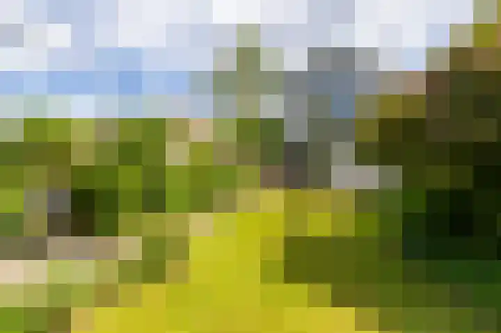 Canadalaan 25 Groningen thumbnail 35