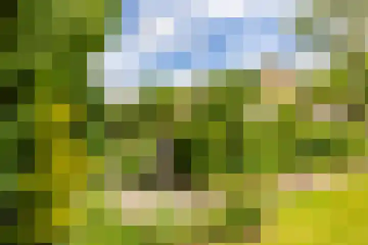 Canadalaan 25 Groningen thumbnail 36