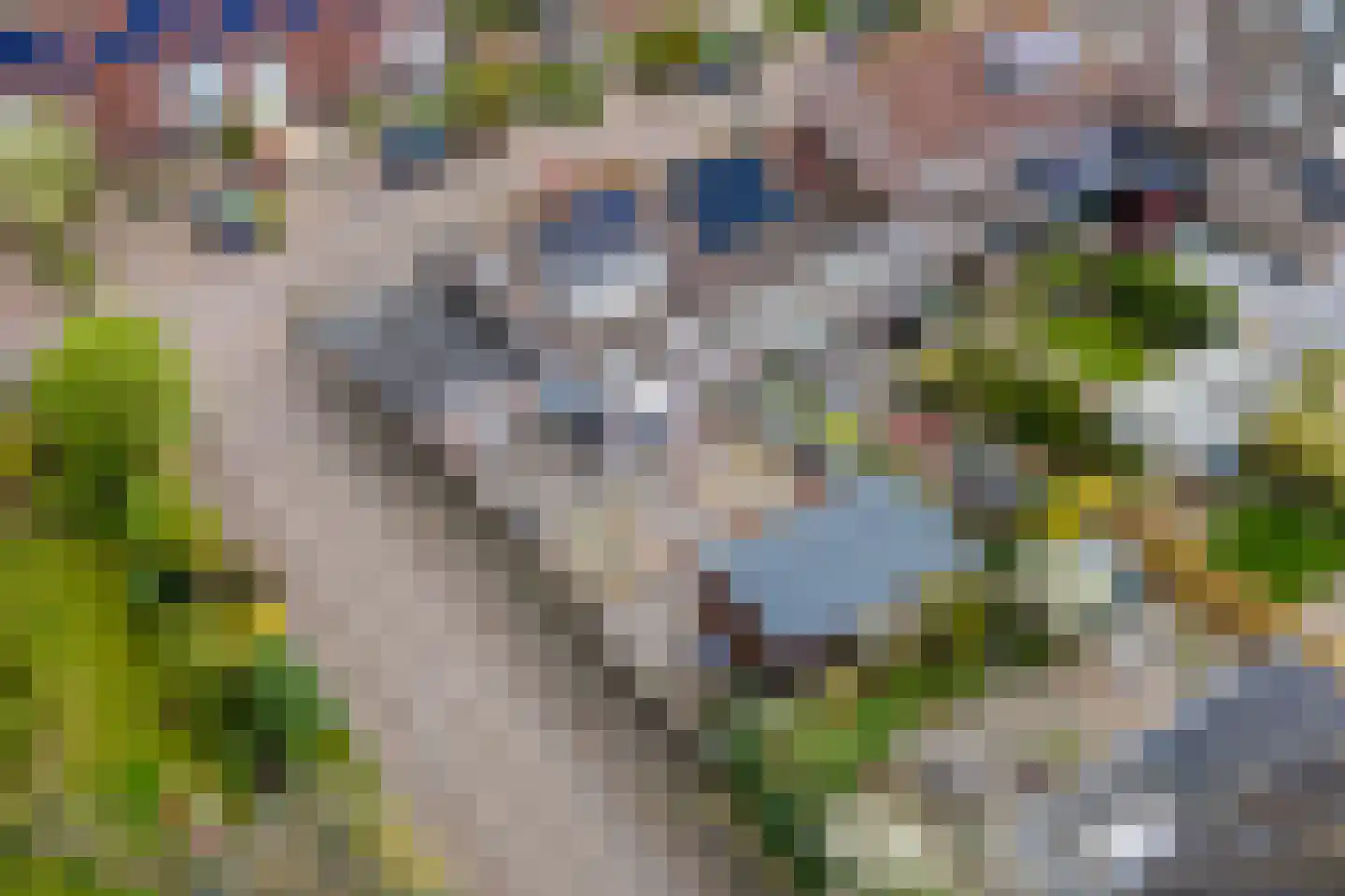 Canadalaan 39 Ommeren thumbnail 37