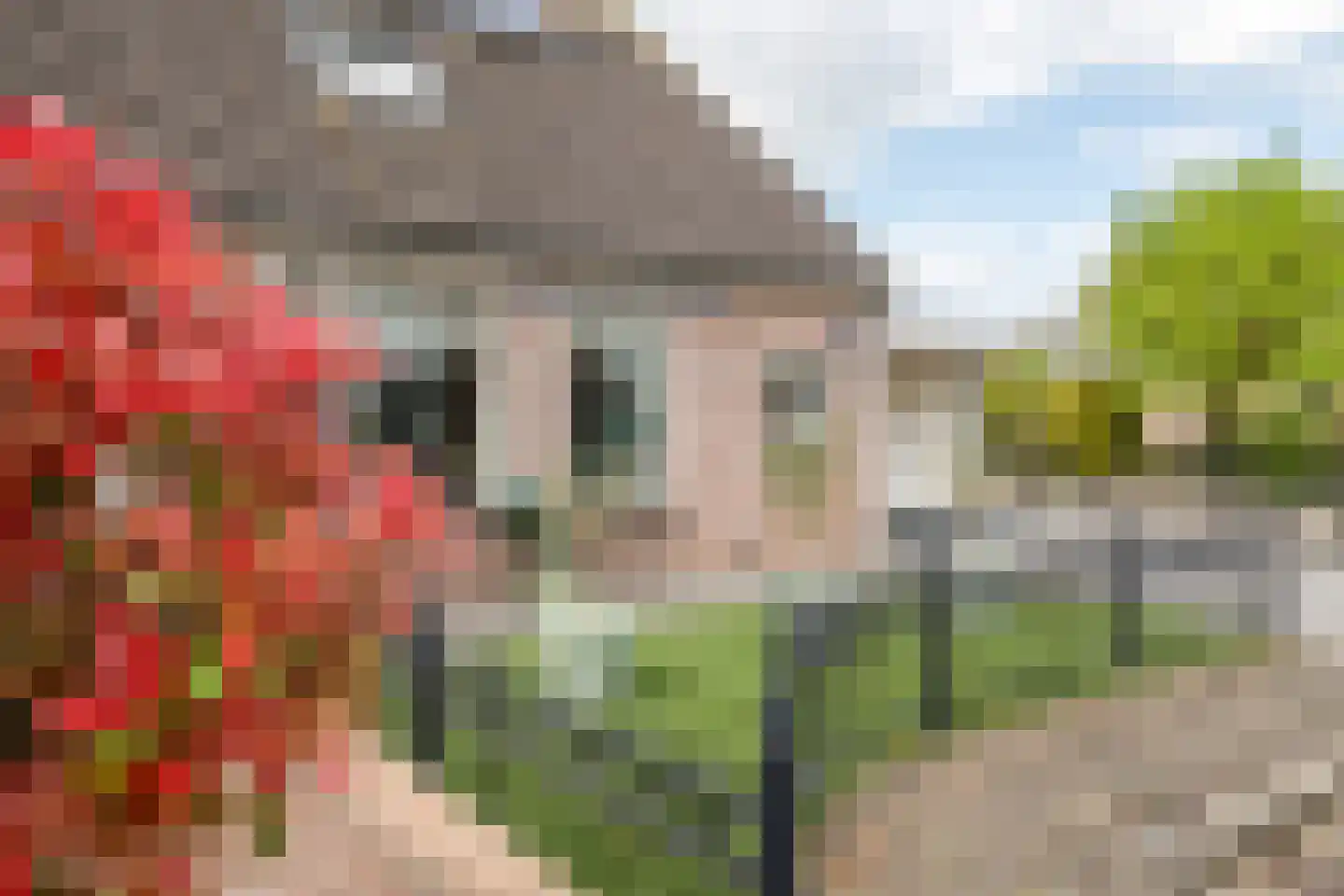 Canadalaan 39 Ommeren thumbnail 42