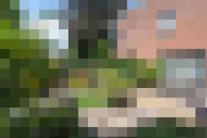 Canadalaan 48 Apeldoorn thumbnail 31