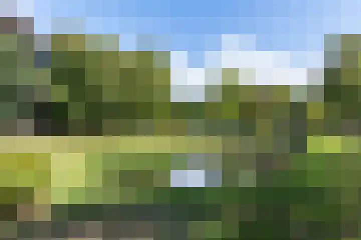 Canadalaan 48 Apeldoorn thumbnail 33