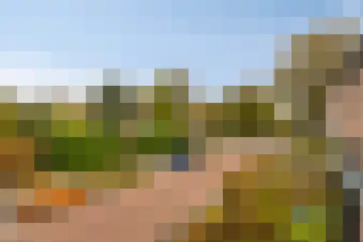 Canadalaan 52 Bergen op Zoom thumbnail 30